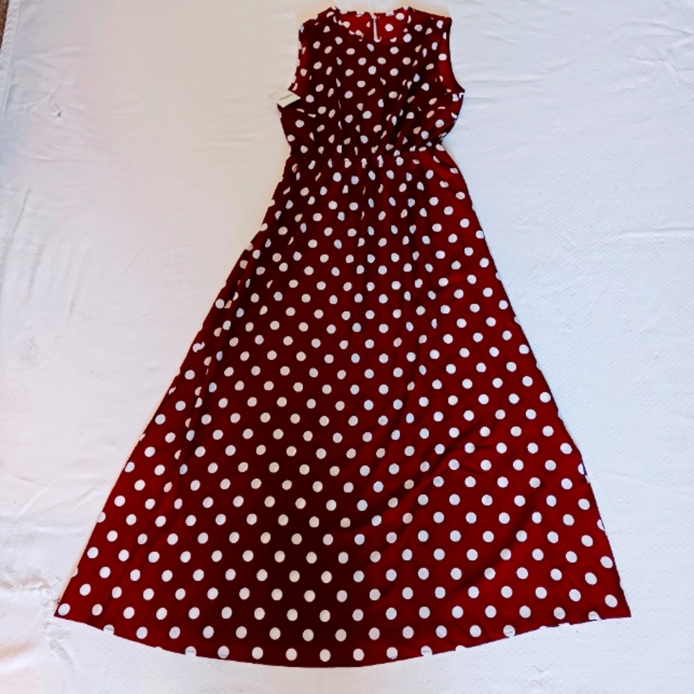 NWT Polka Dot Maxi Dress